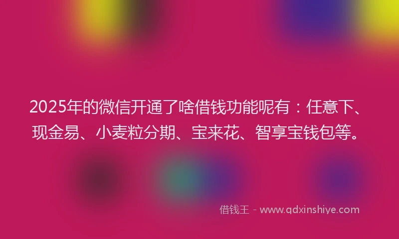 2025年的微信开通了啥借钱功能呢有：任意下、现金易、小麦粒分期、宝来花、智享宝钱包等。