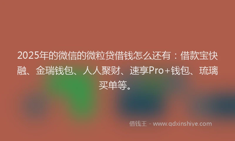 2025年的微信的微粒贷借钱怎么还有：借款宝快融、金瑞钱包、人人聚财、速享Pro+钱包、琉璃买单等。