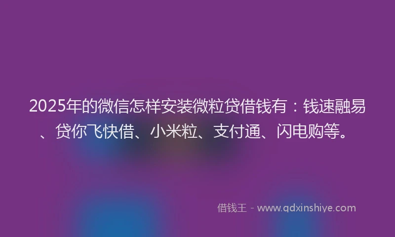 2025年的微信怎样安装微粒贷借钱有：钱速融易、贷你飞快借、小米粒、支付通、闪电购等。