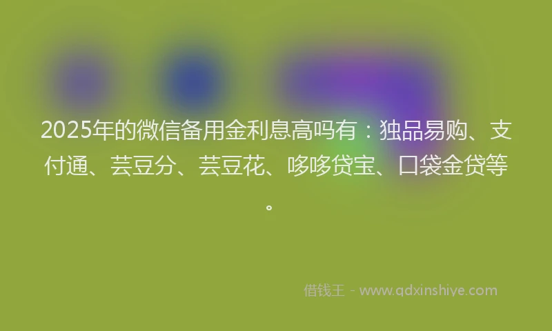 2025年的微信备用金利息高吗有：独品易购、支付通、芸豆分、芸豆花、哆哆贷宝、口袋金贷等。