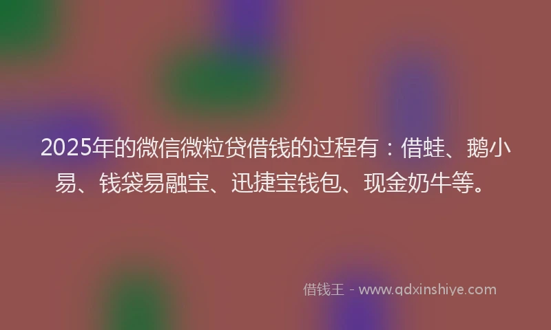 2025年的微信微粒贷借钱的过程有：借蛙、鹅小易、钱袋易融宝、迅捷宝钱包、现金奶牛等。
