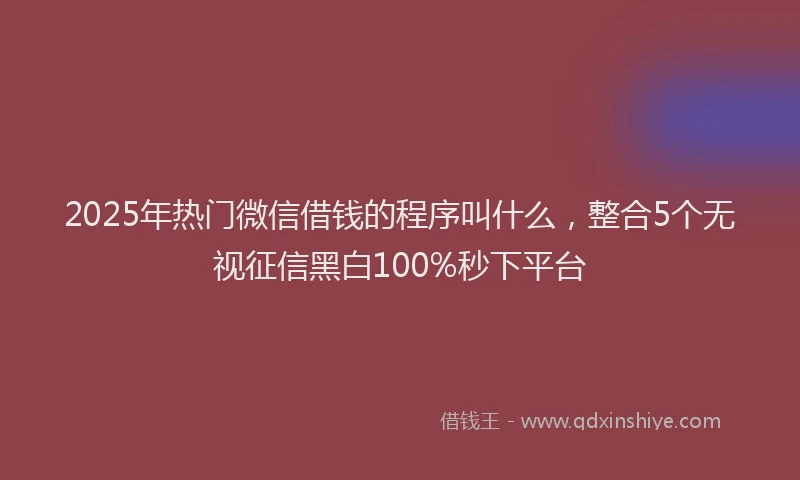 2025年热门微信借钱的程序叫什么，整合5个无视征信黑白100%秒下平台