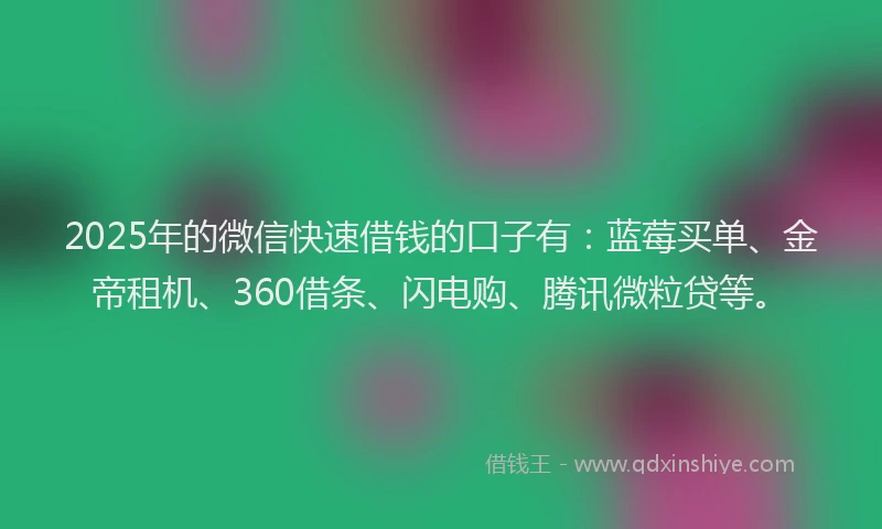 2025年的微信快速借钱的口子有：蓝莓买单、金帝租机、360借条、闪电购、腾讯微粒贷等。