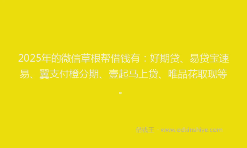2025年的微信草根帮借钱有：好期贷、易贷宝速易、翼支付橙分期、壹起马上贷、唯品花取现等。