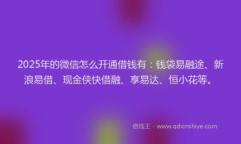 2025年的微信怎么开通借钱有：钱袋易融途、新浪易借、现金侠快借融、享易达、恒小花等。
