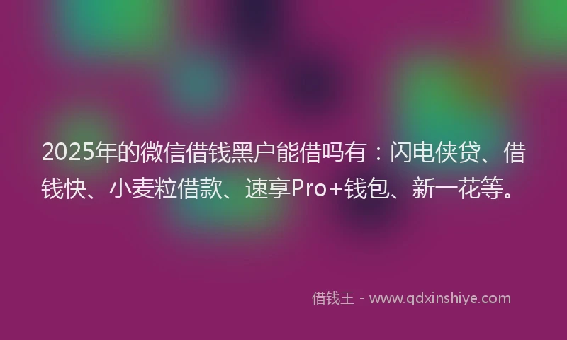 2025年的微信借钱黑户能借吗有：闪电侠贷、借钱快、小麦粒借款、速享Pro+钱包、新一花等。