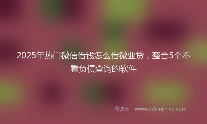 2025年热门微信借钱怎么借微业贷，整合5个不看负债查询的软件