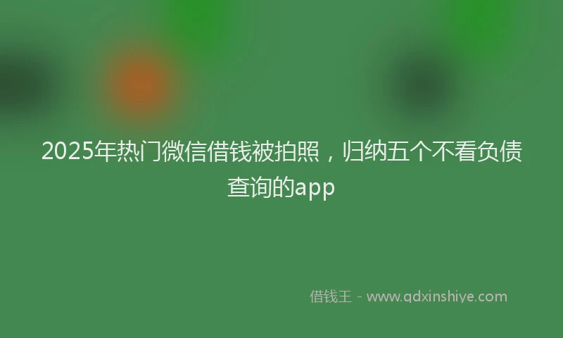 2025年热门微信借钱被拍照，归纳五个不看负债查询的app