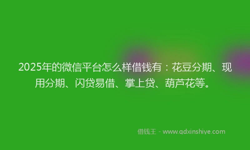 2025年的微信平台怎么样借钱有：花豆分期、现用分期、闪贷易借、掌上贷、葫芦花等。