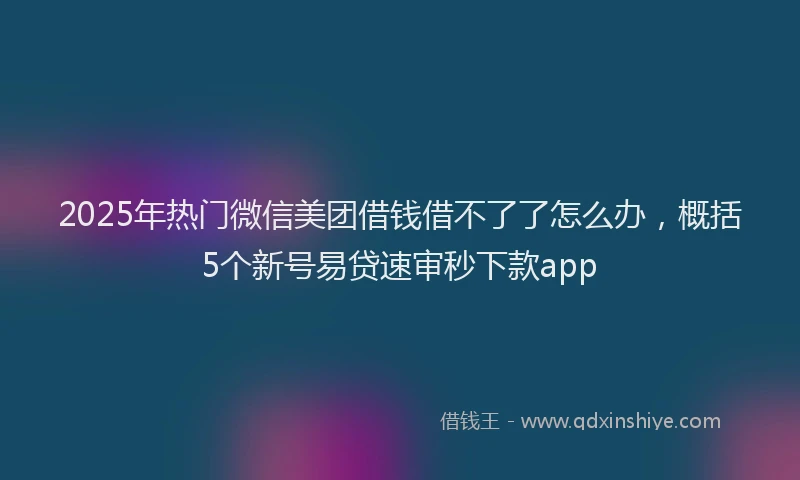 2025年热门微信美团借钱借不了了怎么办，概括5个新号易贷速审秒下款app