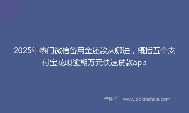 2025年热门微信备用金还款从哪进，概括五个支付宝花呗逾期万元快速贷款app