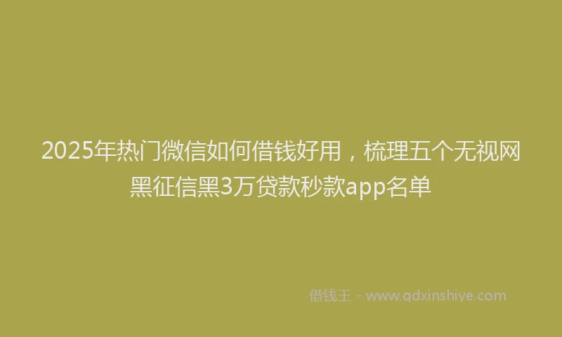 2025年热门微信如何借钱好用，梳理五个无视网黑征信黑3万贷款秒款app名单