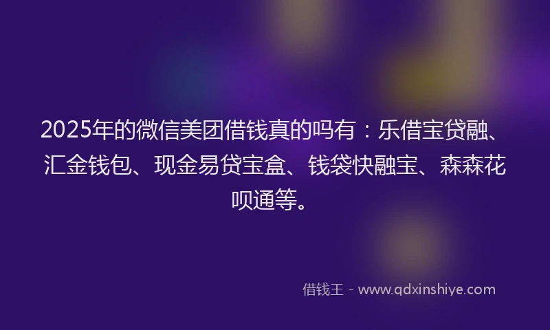 2025年的微信美团借钱真的吗有：乐借宝贷融、汇金钱包、现金易贷宝盒、钱袋快融宝、森森花呗通等。
