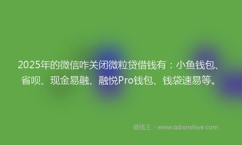 2025年的微信咋关闭微粒贷借钱有：小鱼钱包、省呗、现金易融、融悦Pro钱包、钱袋速易等。