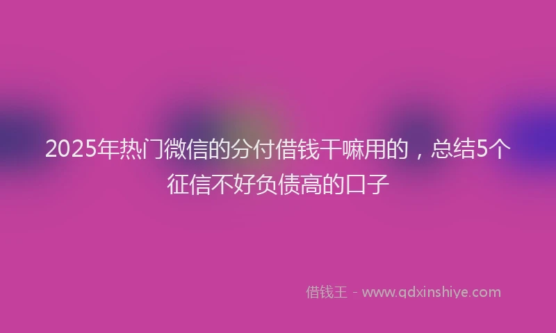 2025年热门微信的分付借钱干嘛用的，总结5个征信不好负债高的口子
