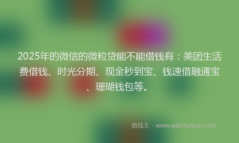 2025年的微信的微粒贷能不能借钱有：美团生活费借钱、时光分期、现金秒到宝、钱速借融通宝、珊瑚钱包等。