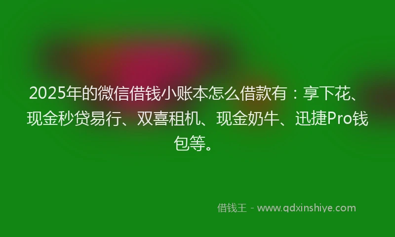 2025年的微信借钱小账本怎么借款有：享下花、现金秒贷易行、双喜租机、现金奶牛、迅捷Pro钱包等。