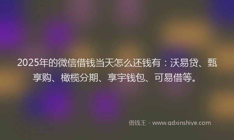 2025年的微信借钱当天怎么还钱有：沃易贷、甄享购、橄榄分期、享宇钱包、可易借等。