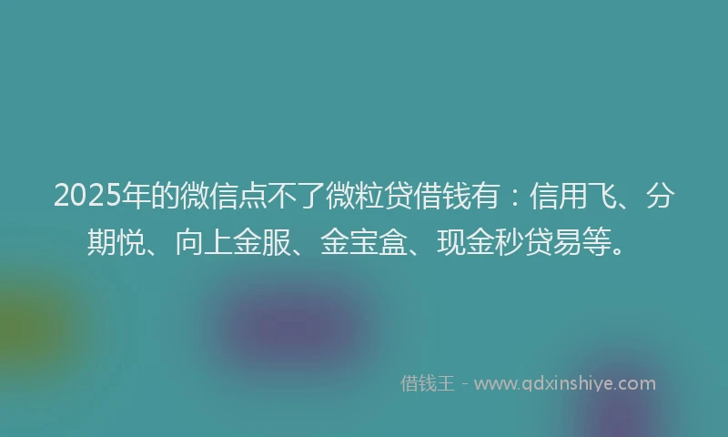 2025年的微信点不了微粒贷借钱有：信用飞、分期悦、向上金服、金宝盒、现金秒贷易等。