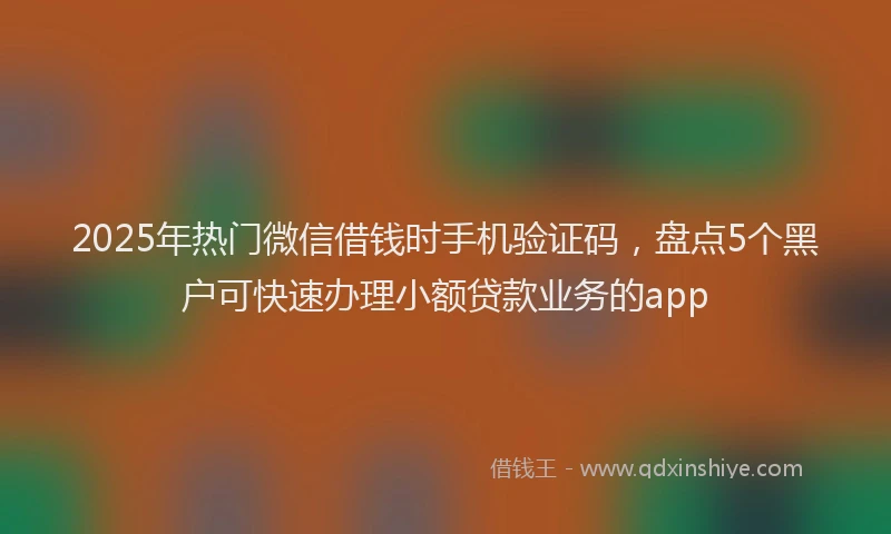 2025年热门微信借钱时手机验证码，盘点5个黑户可快速办理小额贷款业务的app