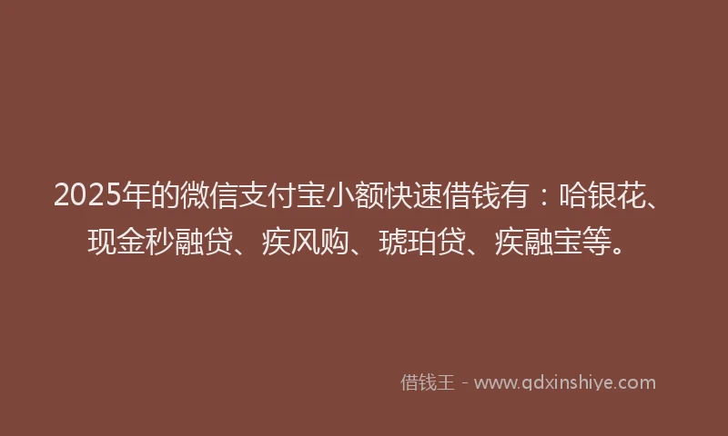 2025年的微信支付宝小额快速借钱有：哈银花、现金秒融贷、疾风购、琥珀贷、疾融宝等。