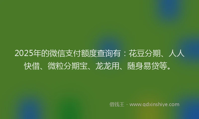 2025年的微信支付额度查询有：花豆分期、人人快借、微粒分期宝、龙龙用、随身易贷等。