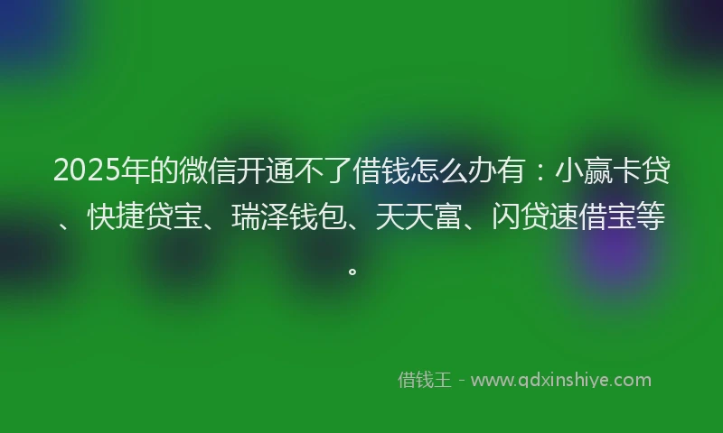 2025年的微信开通不了借钱怎么办有：小赢卡贷、快捷贷宝、瑞泽钱包、天天富、闪贷速借宝等。