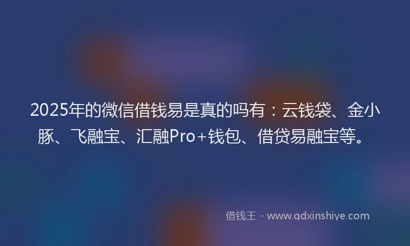 2025年的微信借钱易是真的吗有：云钱袋、金小豚、飞融宝、汇融Pro+钱包、借贷易融宝等。