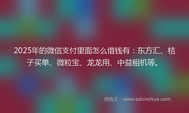 2025年的微信支付里面怎么借钱有：东方汇、桔子买单、微粒宝、龙龙用、中益租机等。