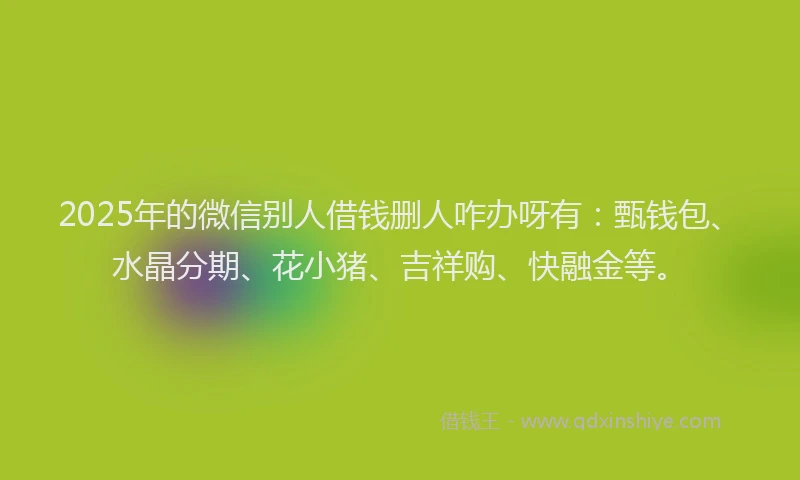 2025年的微信别人借钱删人咋办呀有：甄钱包、水晶分期、花小猪、吉祥购、快融金等。