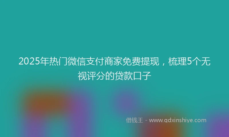 2025年热门微信支付商家免费提现，梳理5个无视评分的贷款口子