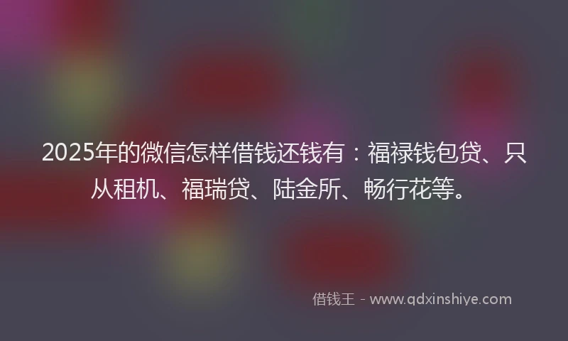 2025年的微信怎样借钱还钱有：福禄钱包贷、只从租机、福瑞贷、陆金所、畅行花等。