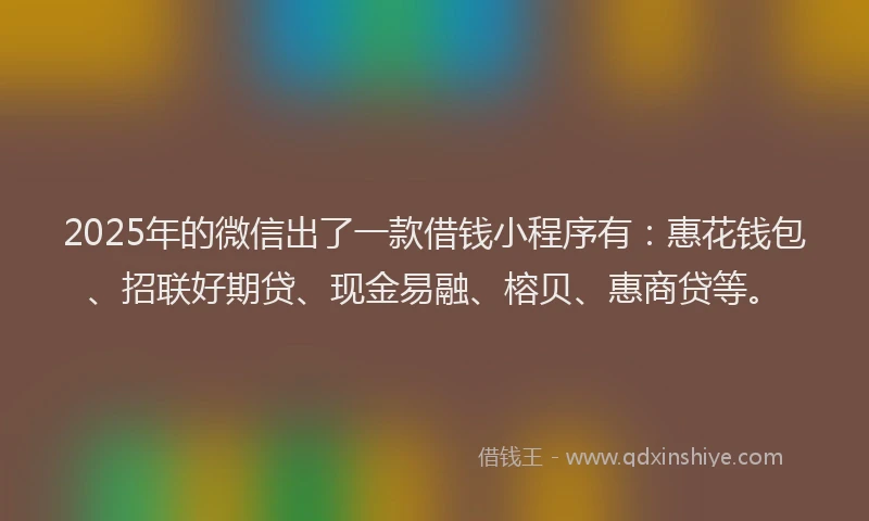 2025年的微信出了一款借钱小程序有：惠花钱包、招联好期贷、现金易融、榕贝、惠商贷等。