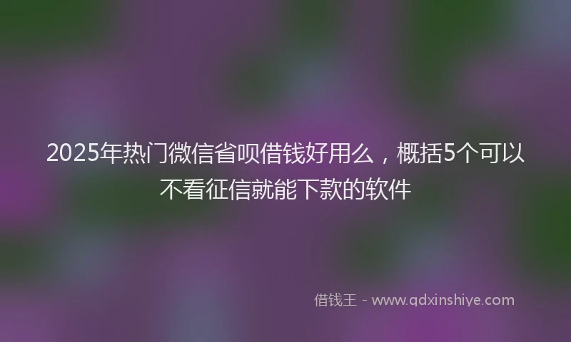 2025年热门微信省呗借钱好用么，概括5个可以不看征信就能下款的软件