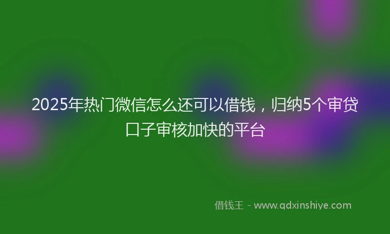 2025年热门微信怎么还可以借钱，归纳5个审贷口子审核加快的平台