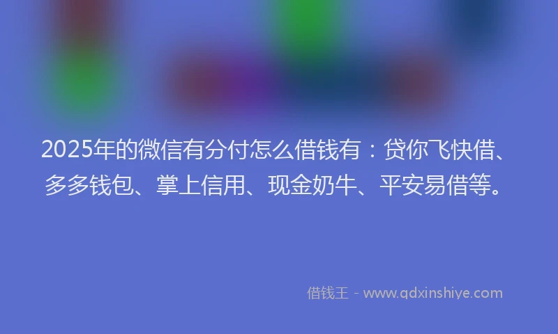 2025年的微信有分付怎么借钱有：贷你飞快借、多多钱包、掌上信用、现金奶牛、平安易借等。