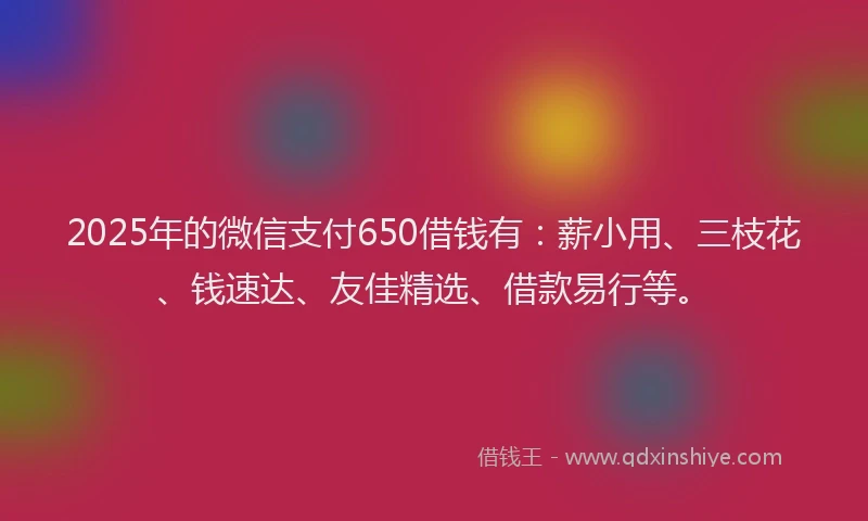 2025年的微信支付650借钱有：薪小用、三枝花、钱速达、友佳精选、借款易行等。
