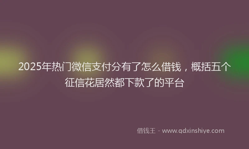 2025年热门微信支付分有了怎么借钱，概括五个征信花居然都下款了的平台