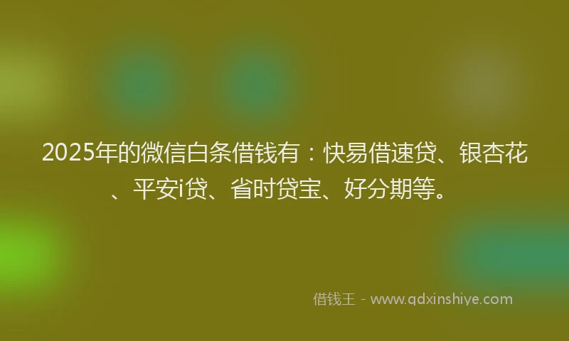 2025年的微信白条借钱有：快易借速贷、银杏花、平安i贷、省时贷宝、好分期等。