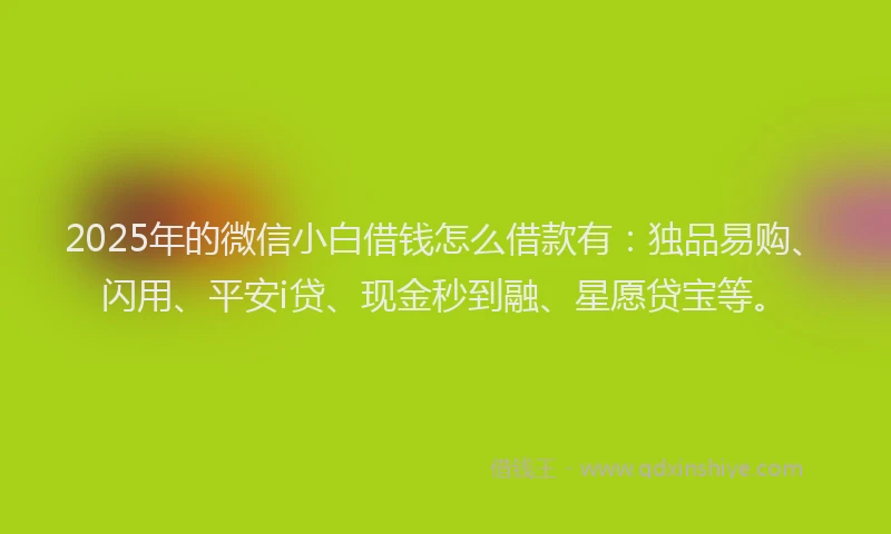 2025年的微信小白借钱怎么借款有：独品易购、闪用、平安i贷、现金秒到融、星愿贷宝等。