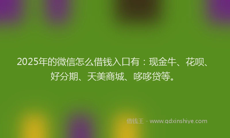 2025年的微信怎么借钱入口有：现金牛、花呗、好分期、天美商城、哆哆贷等。