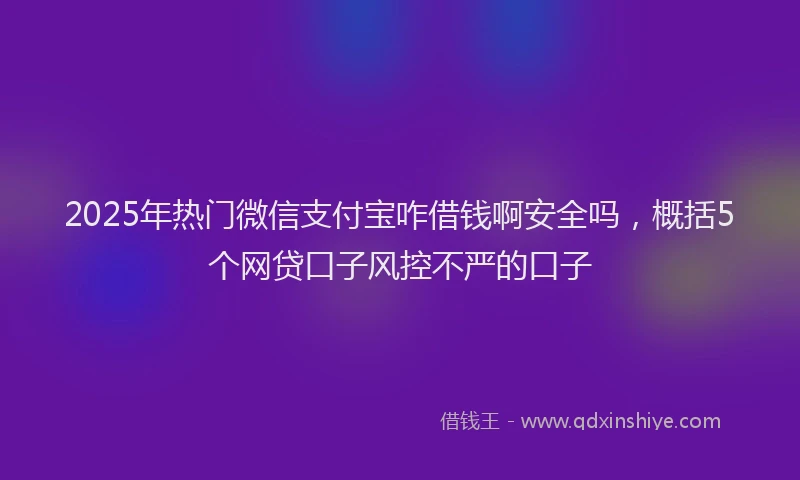 2025年热门微信支付宝咋借钱啊安全吗，概括5个网贷口子风控不严的口子