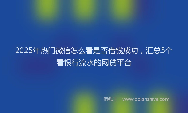 2025年热门微信怎么看是否借钱成功，汇总5个看银行流水的网贷平台
