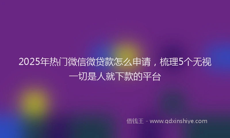 2025年热门微信微贷款怎么申请，梳理5个无视一切是人就下款的平台