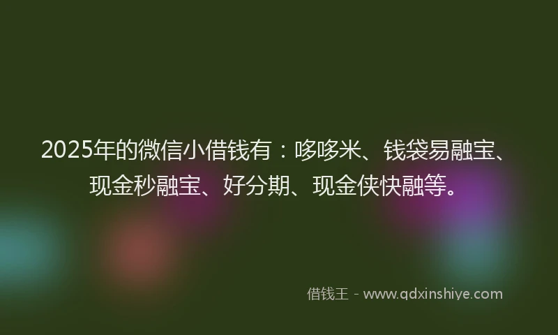2025年的微信小借钱有：哆哆米、钱袋易融宝、现金秒融宝、好分期、现金侠快融等。