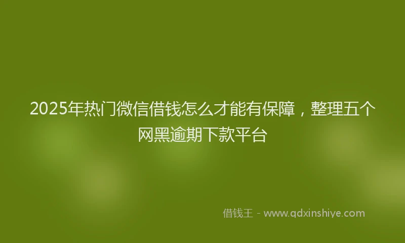 2025年热门微信借钱怎么才能有保障，整理五个网黑逾期下款平台