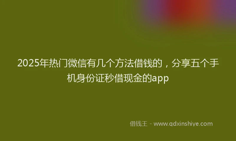 2025年热门微信有几个方法借钱的，分享五个手机身份证秒借现金的app