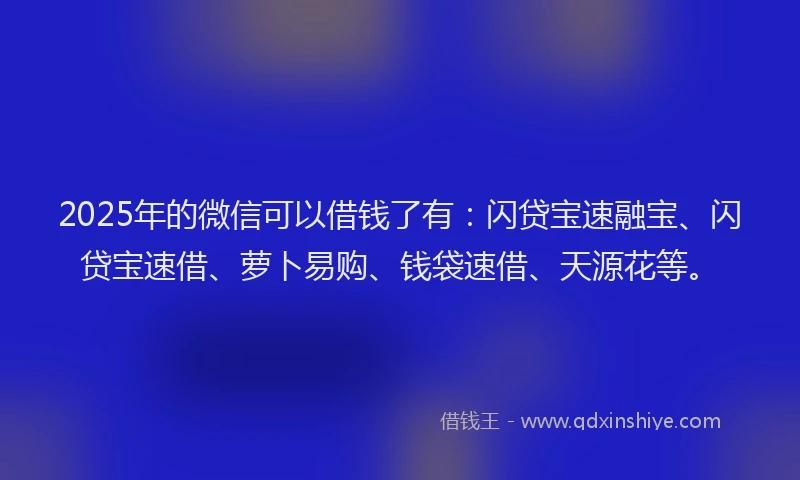 2025年的微信可以借钱了有：闪贷宝速融宝、闪贷宝速借、萝卜易购、钱袋速借、天源花等。