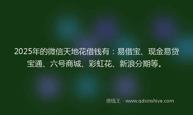 2025年的微信天地花借钱有：易借宝、现金易贷宝通、六号商城、彩虹花、新浪分期等。