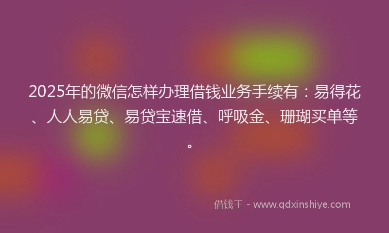 2025年的微信怎样办理借钱业务手续有：易得花、人人易贷、易贷宝速借、呼吸金、珊瑚买单等。